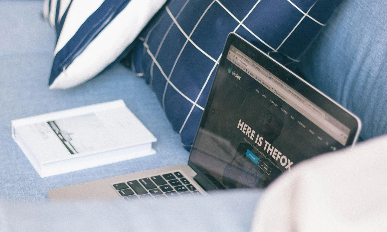 couch, sofa, book, pillow, laptop, computer, macbook, modern, technology, gadget, electronics, browser, blue book, blue books, blue couch